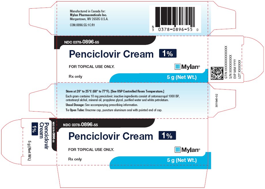 Penciclovir Cream 1% Carton Label