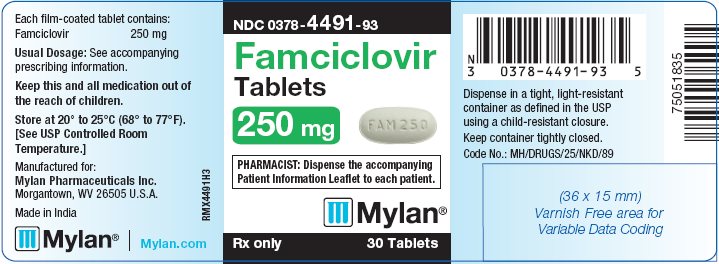 Famciclovir Tablets 250 mg Bottle Label
