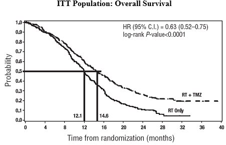 Figure 1. Kaplan-Meier Curves for Overall Survival (ITT Population)