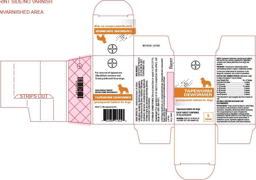 Tapeworm Dewormer (praziquantel tablets) for Dogs 34 mg carton label