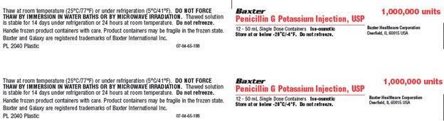 Penicillin G Potassium Representative Container Label  NDC 0338-1021-41 2 of 2