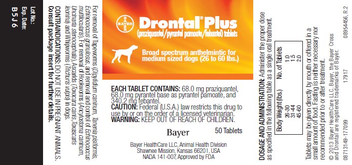 Drontal Plus (praziquantel/pyrantel pamoate/febantel) tablets; Broad spectrum anthelmintic for medium dogs (26 to 60 lbs.) label