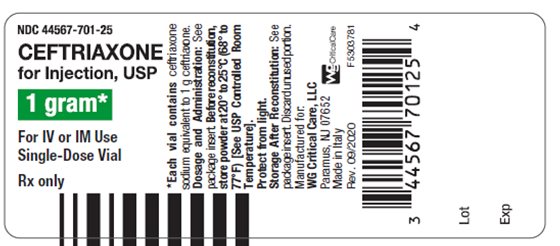 Ceftriaxone 1 gram vial label