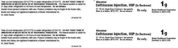 Ceftriaxone Representative Carton Label - 1 g - Panel 1 - NDC 0338-5002