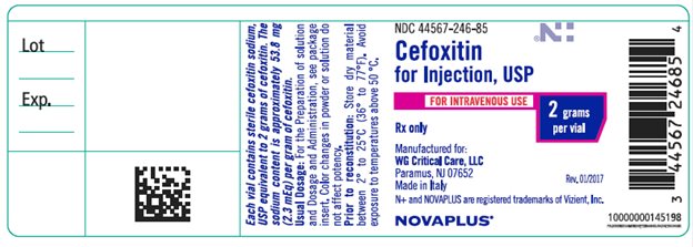 Cefoxitin 2 gram vial label
