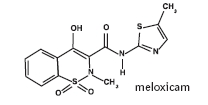 Diagram of empirical formulation of meloxicam