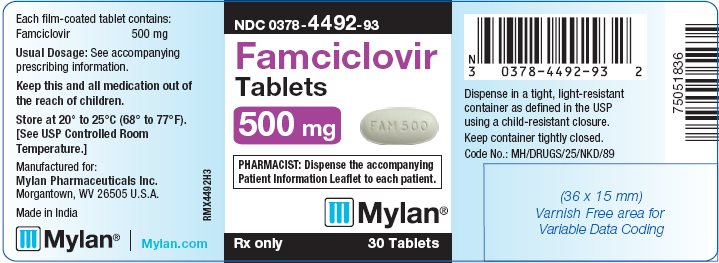 Famciclovir Tablets 500 mg Bottle Label