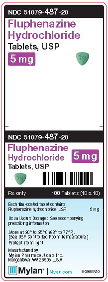 Fluphenazine Hydrochloride 5 mg Tablets Unit Carton Label
