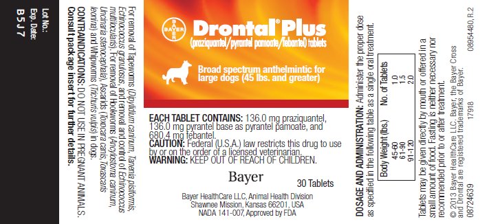 Drontal Plus (praziquantel/pyrantel pamoate/febantel) tablets; Broad spectrum anthelmintic for large dogs (45 lbs. and greater) label