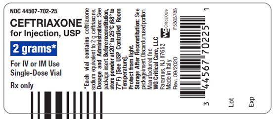 Ceftriaxone 2 gram vial label