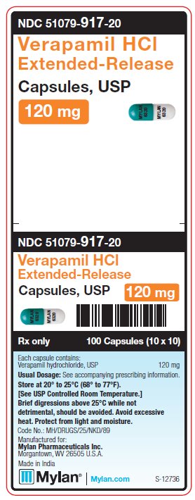 Verapamil HCl Extended-Release 120 mg Capsules, USP