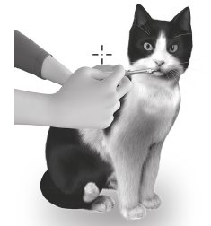 Image of dosing into cat's mouth