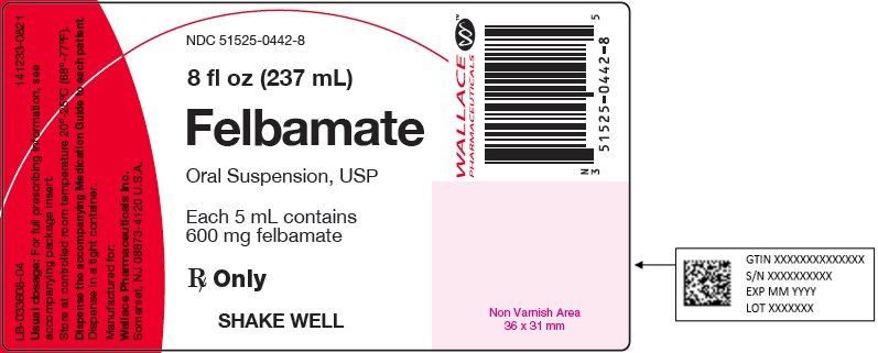 Felbamate Oral Suspension 8 fl oz Label