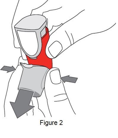 Figure 2 gray arrows