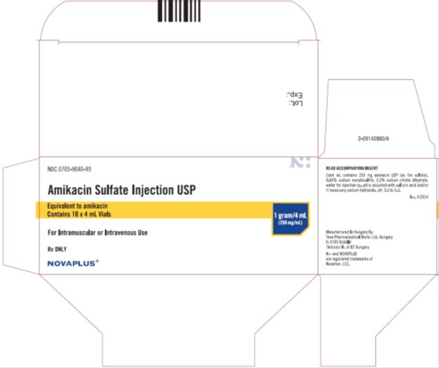Amikacin Sulfate Injection USP 1 gram/4 mL Vial, 10 x 4 mL Carton, Part 1 of 2