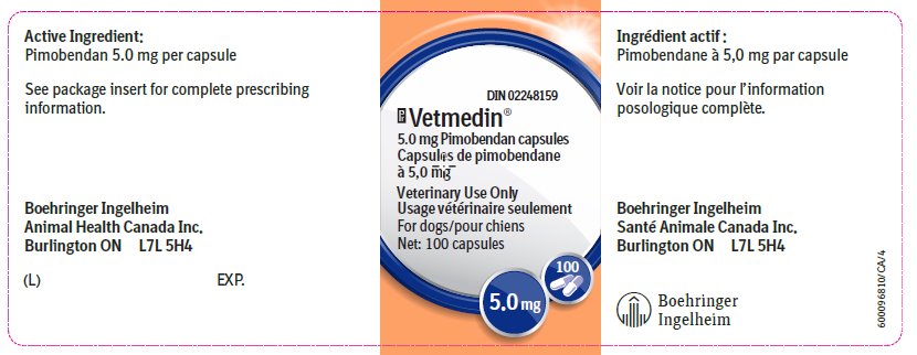 Picture of 5 mg bottle label for Vetmedin Capsules