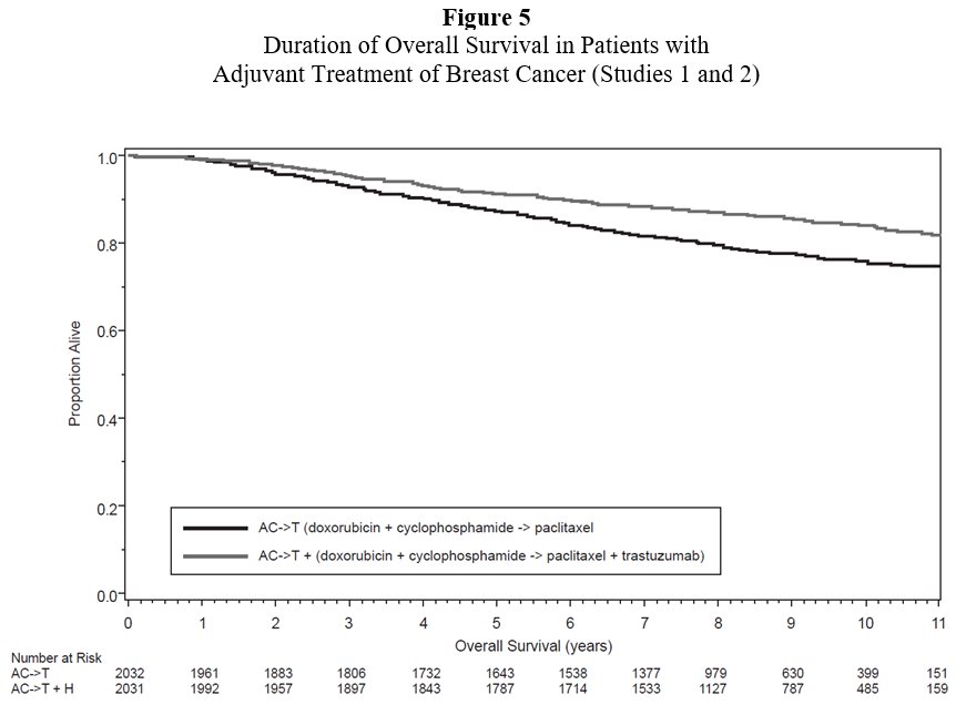 Figure 5 Duration of Overall Survival in Patients with Adjuvant Treatment of Breast Cancer (Studies 1 and 2)