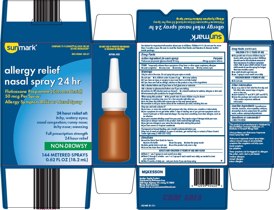 allergy relief nasal spray 24 hr image