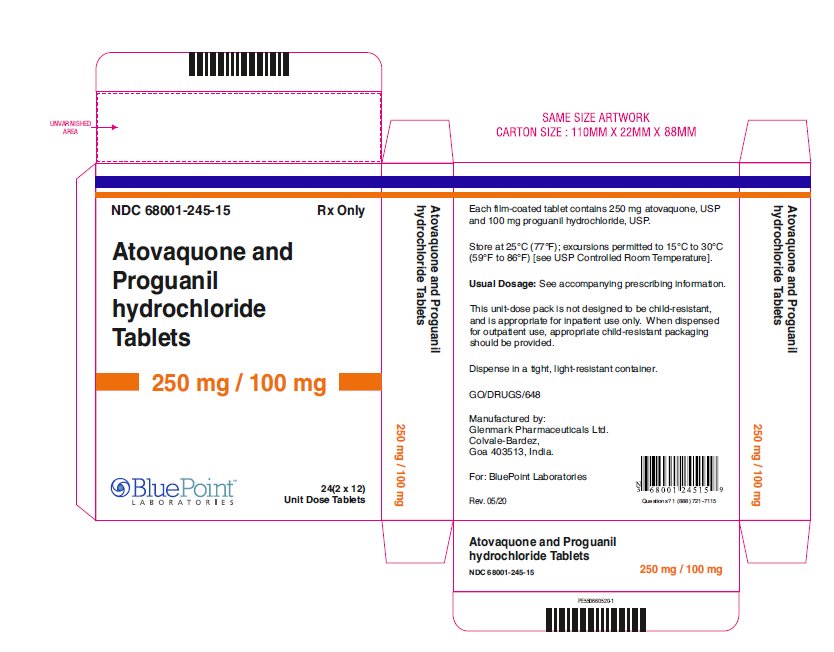 Atovaquone and Proguanil HCL Tablets rev 05 20 carton