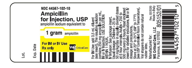 Ampicillin 1 gram vial label
