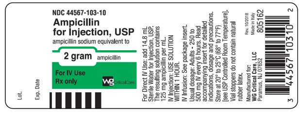 Ampicillin 2 gram vial label