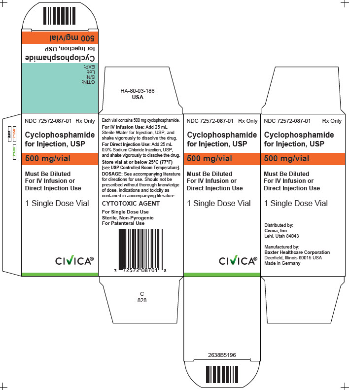 Representative Carton Label 72572-087-01 500 mg