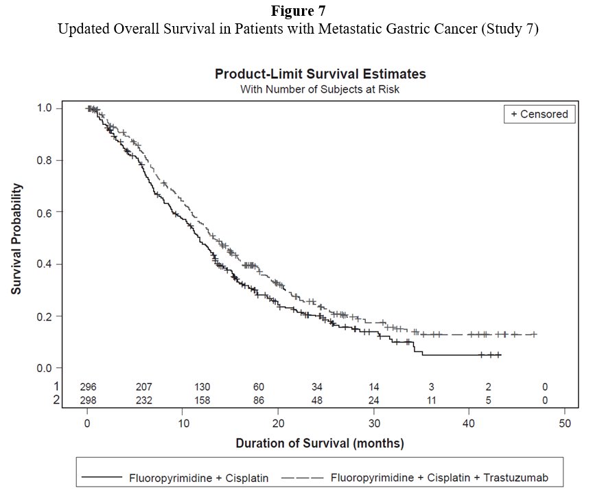 Figure 7 Updated Overall Survival in Patients with Metastatic Gastric Cancer (Study 7)