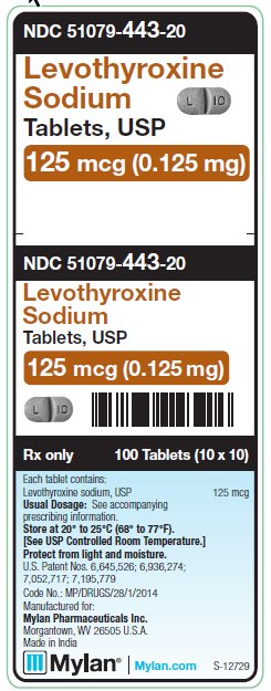 Levothyroxine Sodium 125 mcg (0.125 mg) Tablets Unit Carton Label
