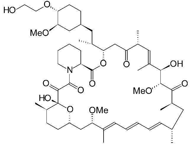 everolimus-high-new-structural-image