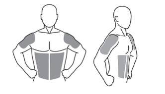 The prescribed daily dose of testosterone gel 1% should be applied to the right and left upper arms/shoulders and/or right/left abdomen as shown in the shaded areas in the figure below.