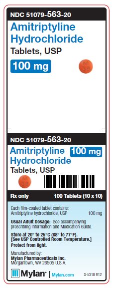 Amitriptyline Hydrochloride 100 mg Tablets Unit Carton Label