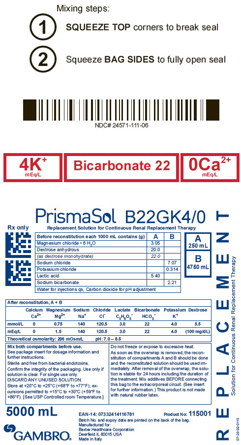 PrismaSol Representative Container Label B22GK4/0