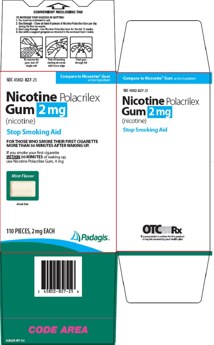 nicotine polacrilex gum-image 1