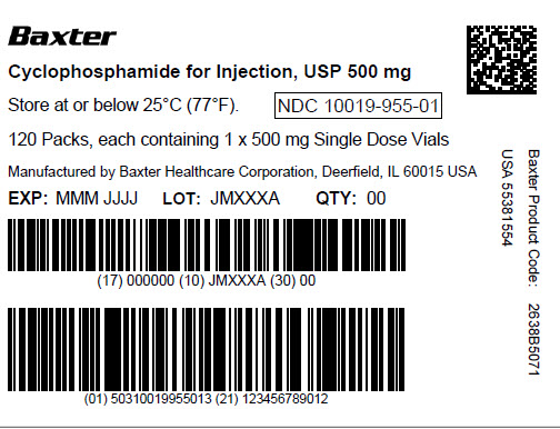 Cyclophosphamide Representative Label 10019-955-01 2 of 2