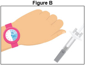 Figure B - Prefilled Syringe