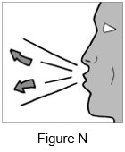 Instructions for Use Figure N