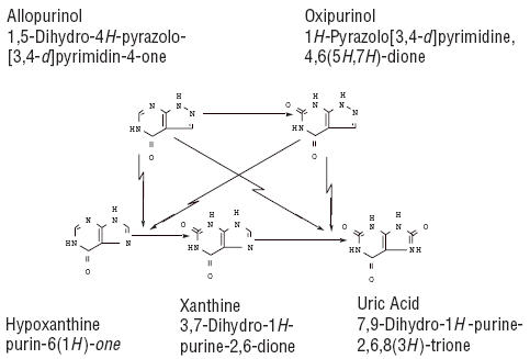 Allopurinol is a structural analogue of the natural purine base, hypoxanthine. It is an inhibitor of xanthine oxidase, the enzyme responsible for the conversion of hypoxanthine to xanthine and of xanthine to uric acid, the end product of purine metabolism in man. Allopurinol is metabolized to the corresponding xanthine analogue, oxipurinol (alloxanthine), which also is an inhibitor of xanthine oxidase.