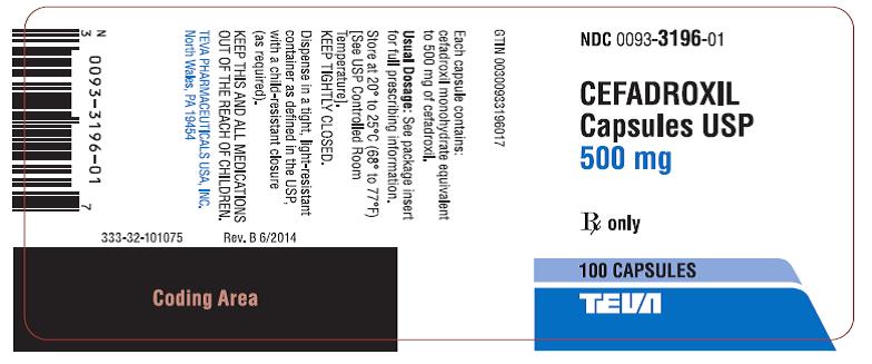 Cefadroxil Capsules USP 500 mg 100s Label