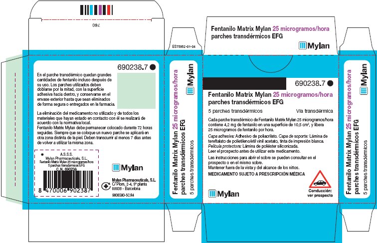 25 microgram/hour Carton Label - Spain
