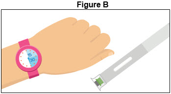 Figure B - Autoinjector