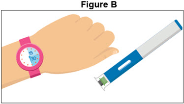 Figure B - Autoinjector - 40 mg/0.4 mL