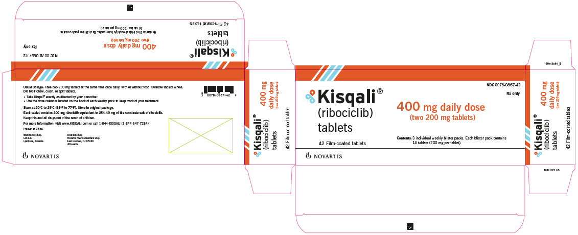 PRINCIPAL DISPLAY PANEL – PACKAGE LABEL – 400 mg daily dose