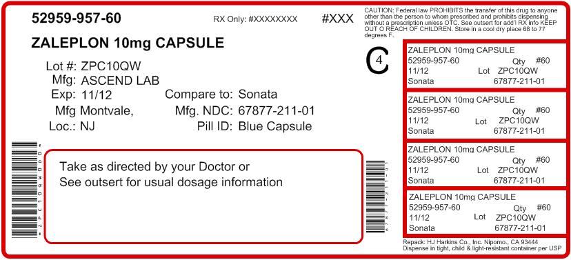 Zaleplon Capsule 10 mg - Container Label