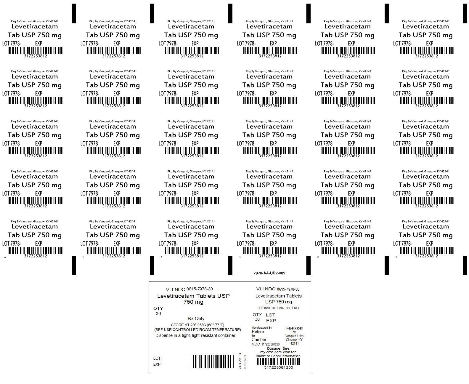 Principal Display Panel - Levetiracetam 750mg Tab unit dose label