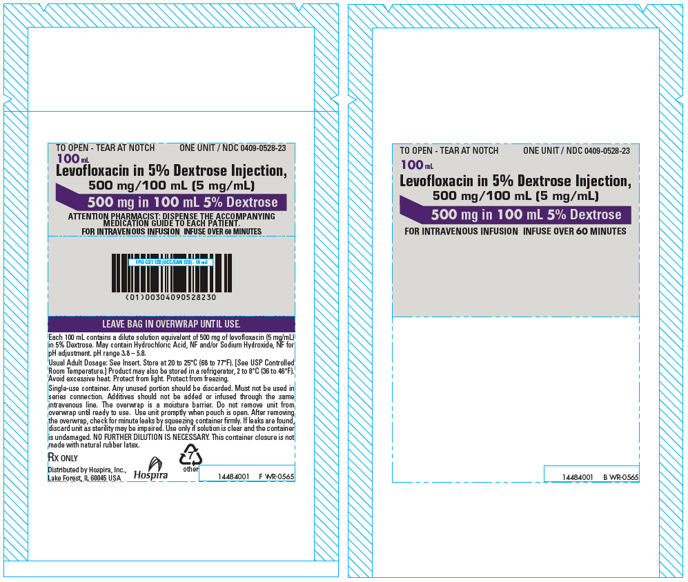 PRINCIPAL DISPLAY PANEL - 100 mL Bag Overwrap Label