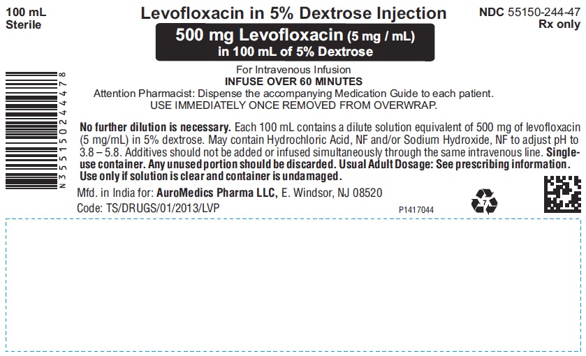 PACKAGE LABEL-PRINCIPAL DISPLAY PANEL - 500 mg Levofloxacin (5 mg / mL) in 100 mL of 5% Dextrose - Infusion Bag Label