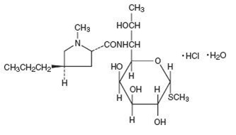 lincomycin-spl-structure