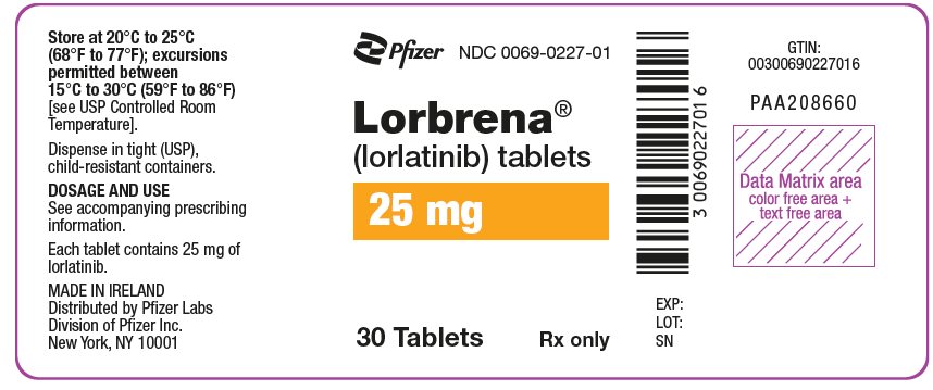 PRINCIPAL DISPLAY PANEL - 25 mg Tablet Bottle Label