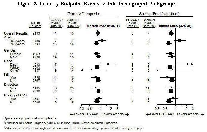 Figure 3. Primary Endpoint Events??? within Demographic Subgroups