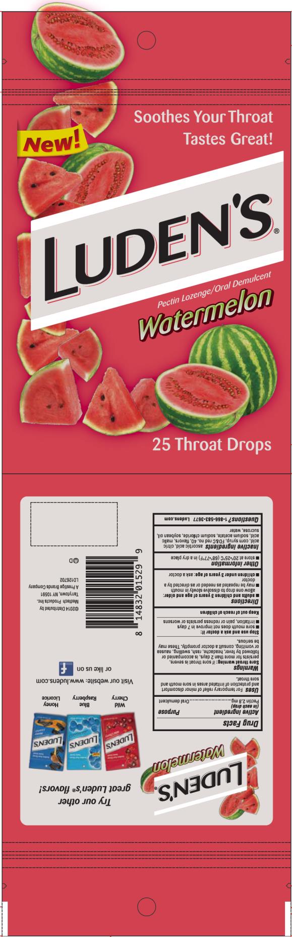 Luden’s
Pectin Lozenge/Oral Demulcent 
Watermelon
25 Throat Drops

